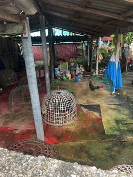 WhatsApp Image 2025-11-14 at 14.08.02